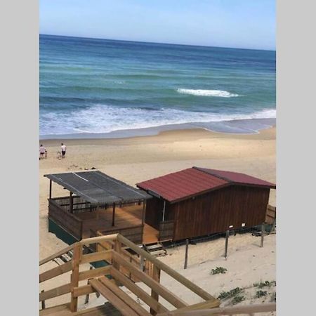 Maison A 300M De La Plage, Quartier Calme Mimizan-Plage Eksteriør billede
