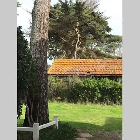 Maison A 300M De La Plage, Quartier Calme Mimizan-Plage Eksteriør billede