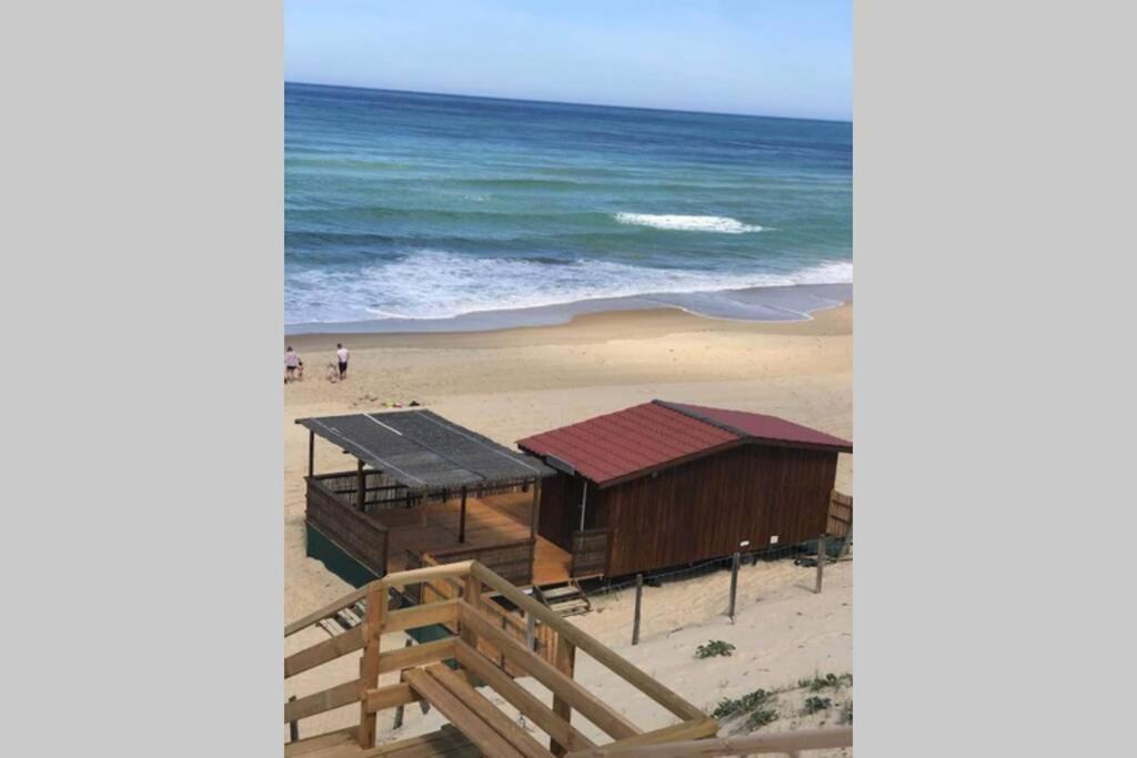 Maison A 300M De La Plage, Quartier Calme Mimizan-Plage Eksteriør billede